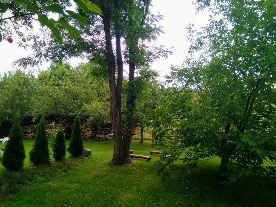 Hotel Casa Lacul Mierlei Sovata Esterno foto